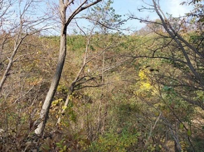 물건 사진 31