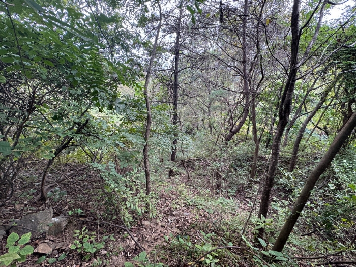 물건 사진 43