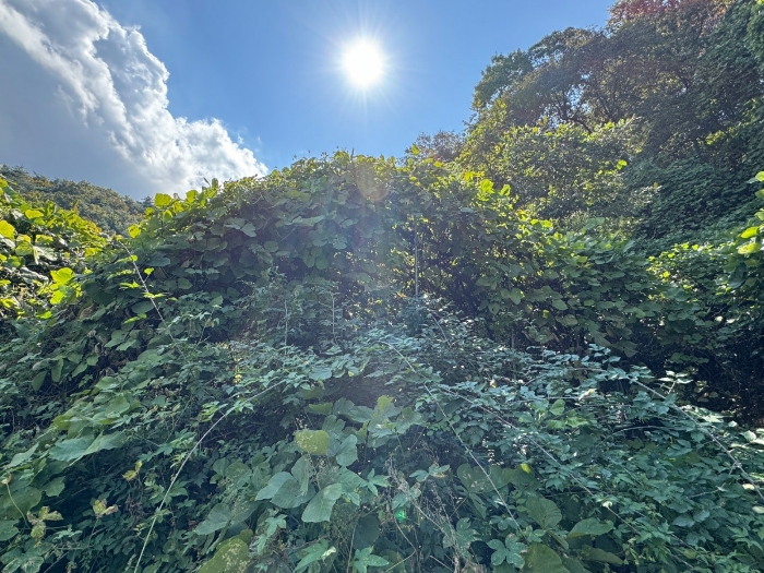 물건 사진 61