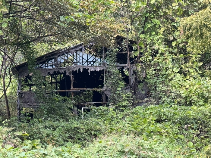물건 사진 68