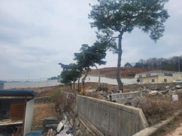 물건 사진 14