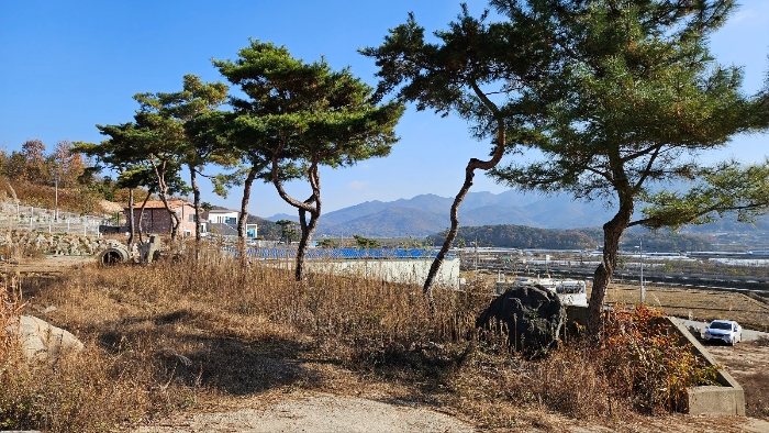 물건 사진 40