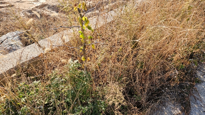 물건 사진 43