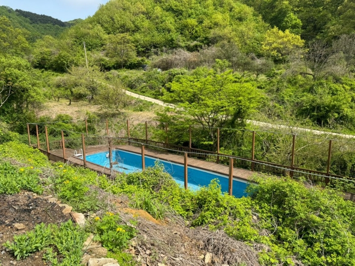 물건 사진 22