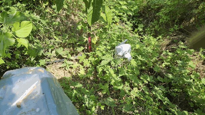 물건 사진 29