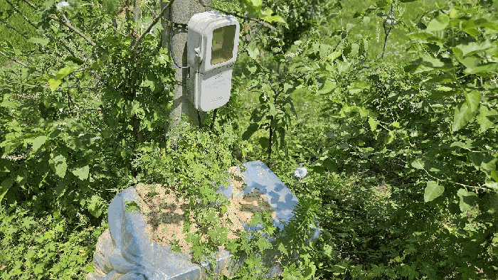 물건 사진 33