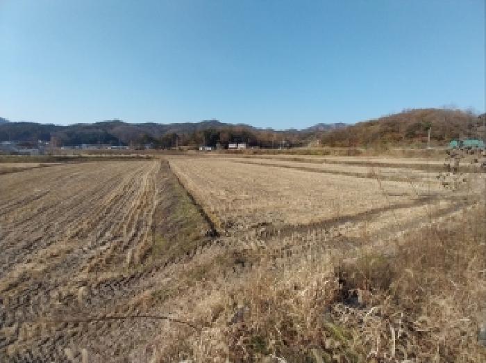 물건 사진 4