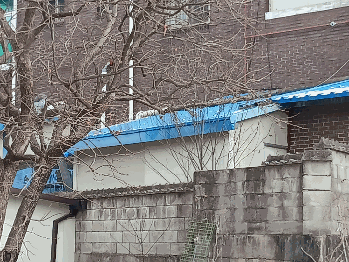 물건 사진 39