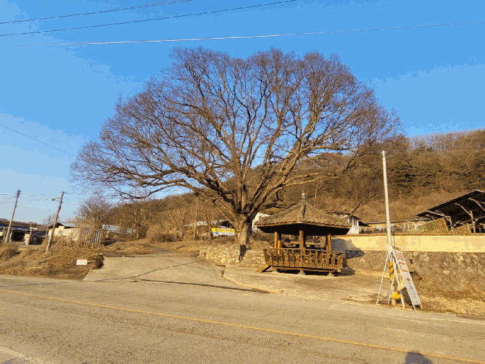 물건 사진 35
