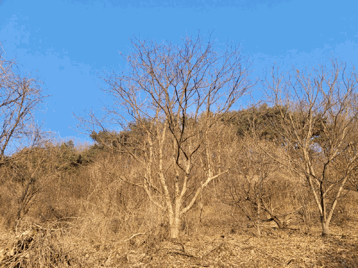 물건 사진 39