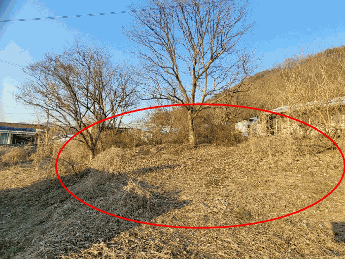 물건 사진 53
