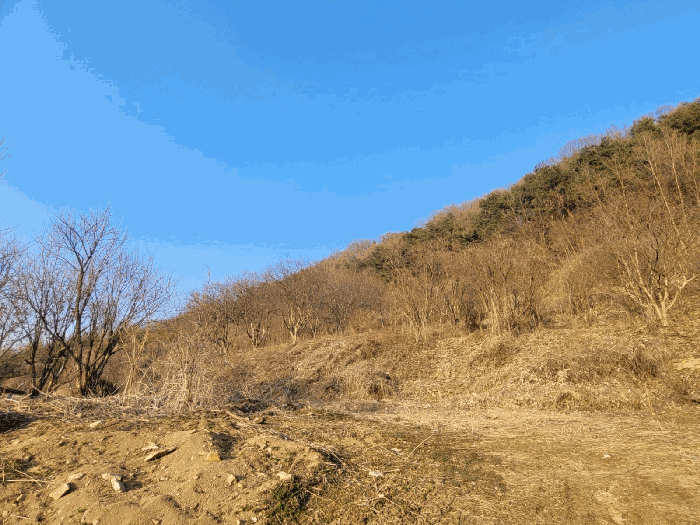 물건 사진 54
