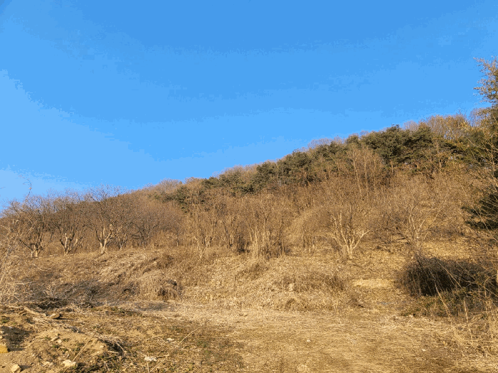 물건 사진 55