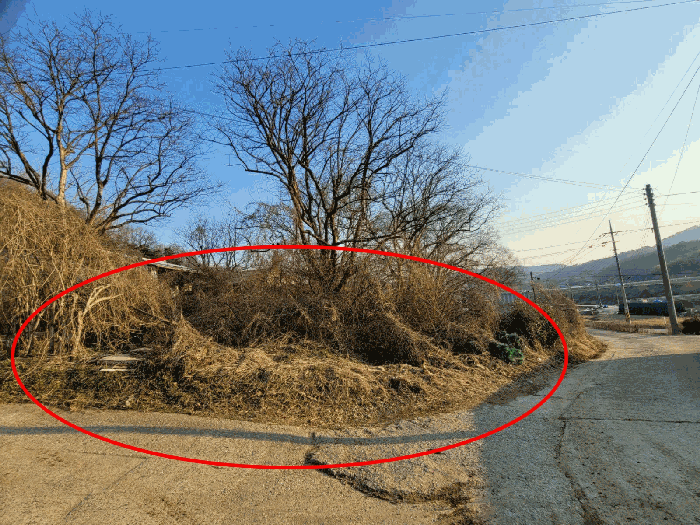 물건 사진 56