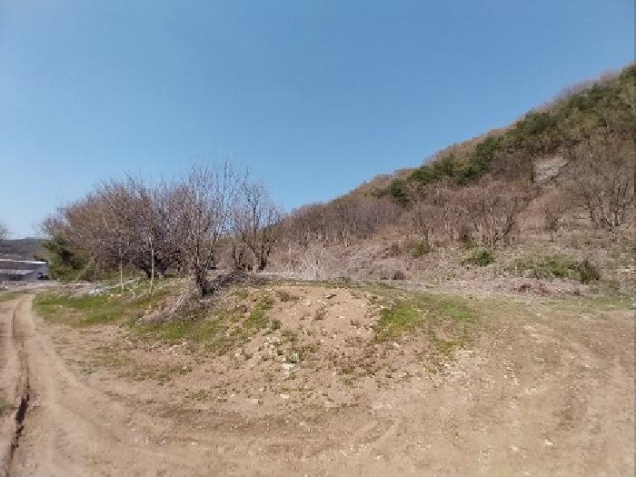 물건 사진 10