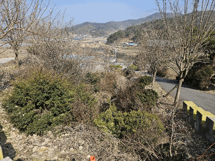 물건 사진 24