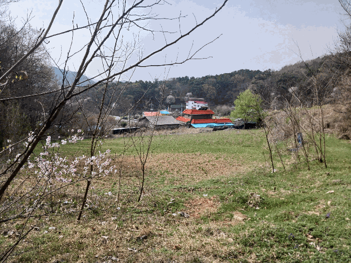 물건 사진 8