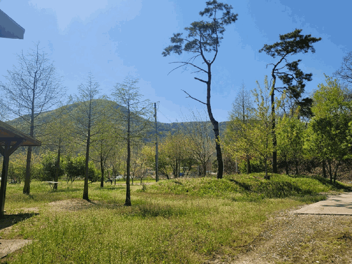 물건 사진 25
