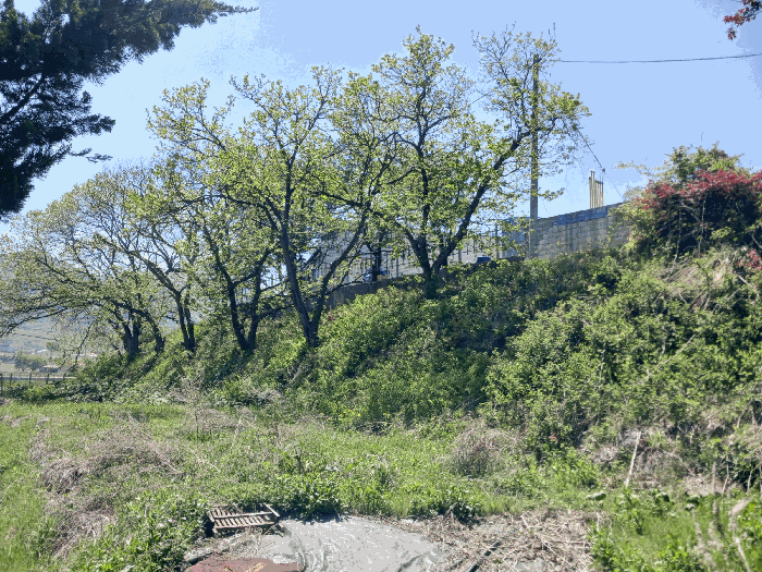 물건 사진 18