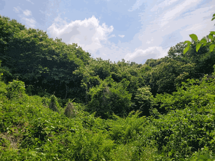물건 사진 15