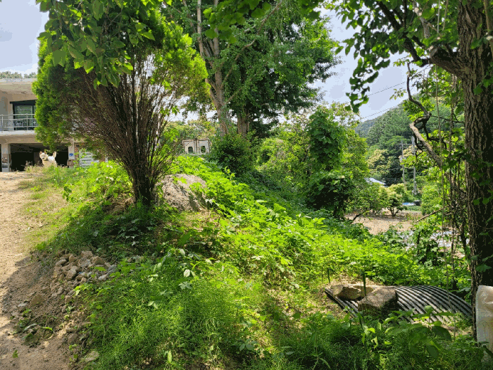 물건 사진 19