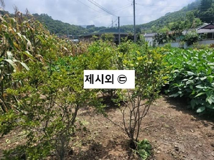 물건 사진 1