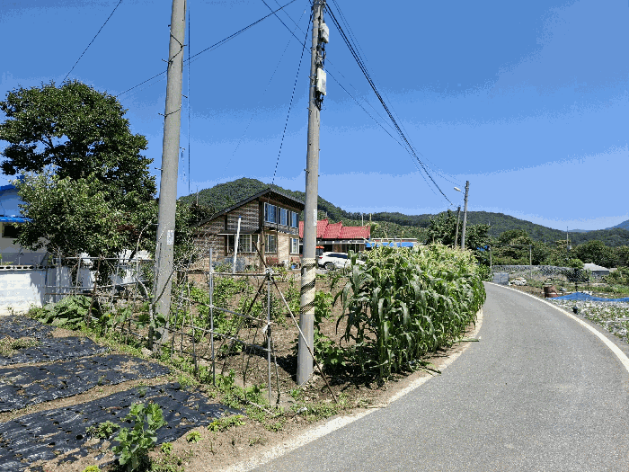물건 사진 9
