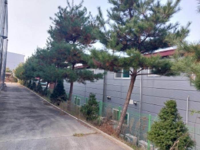 물건 사진 11