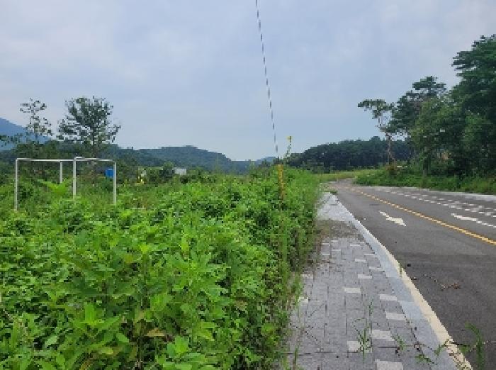 물건 사진 12