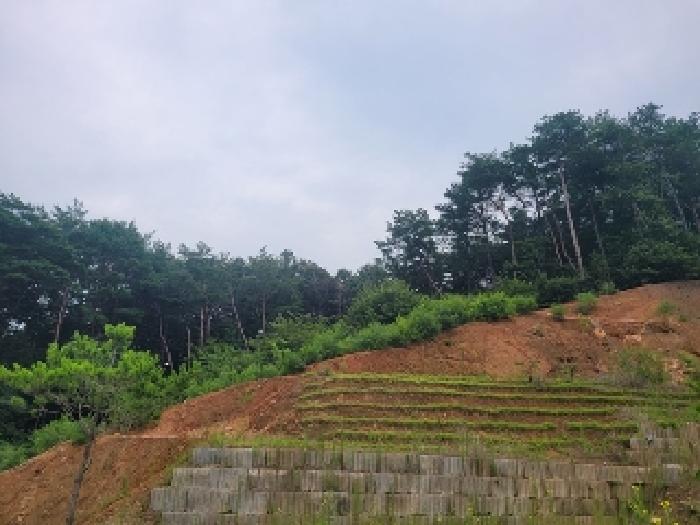 물건 사진 10