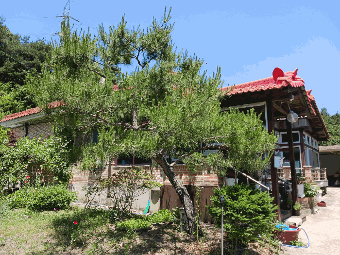 물건 사진 22