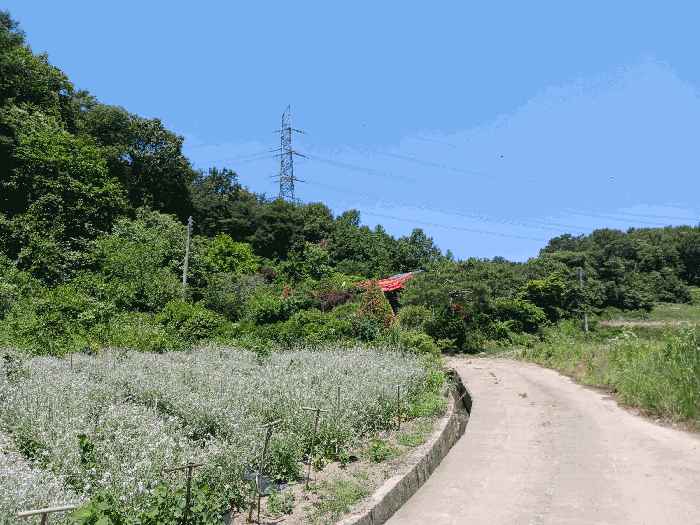 물건 사진 24