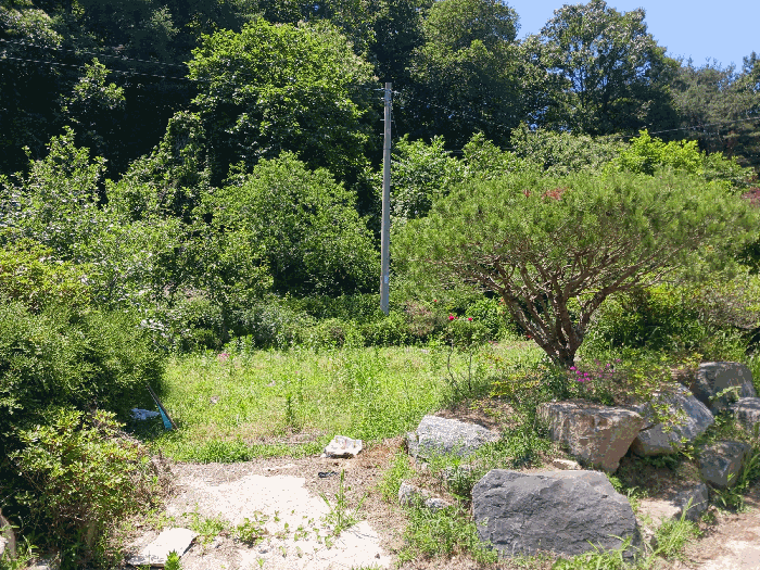 물건 사진 28