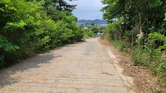 물건 사진 50