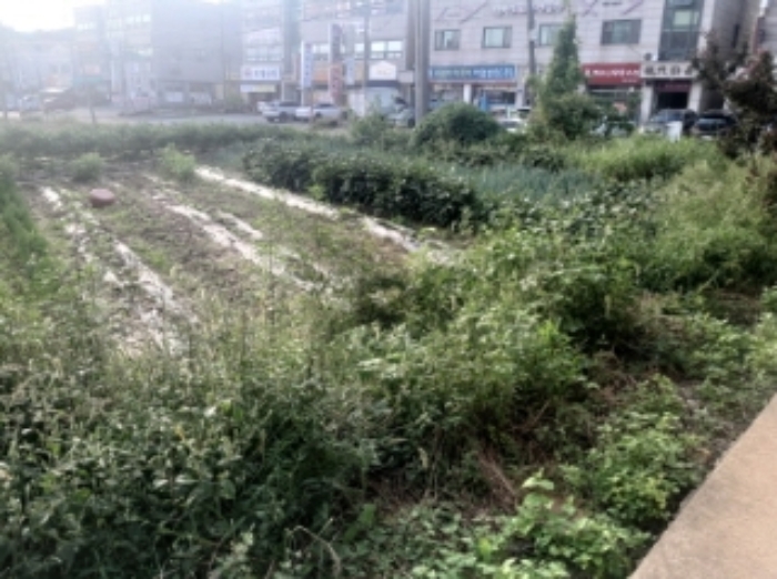 물건 사진 9
