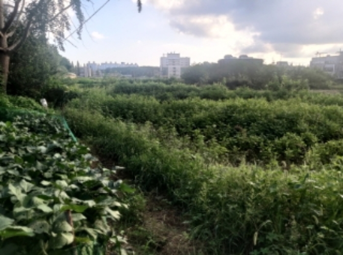 물건 사진 10