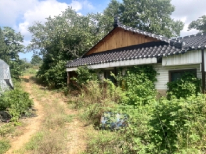 물건 사진 15
