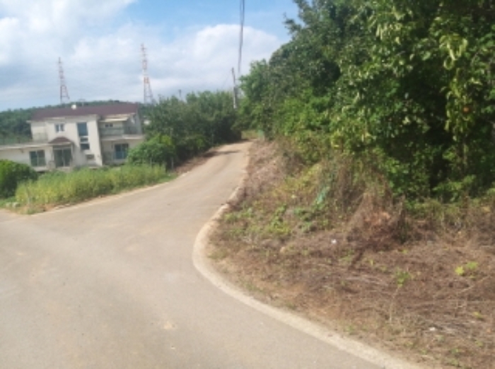 물건 사진 17