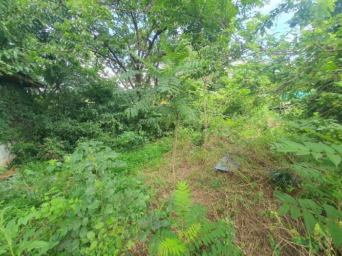 물건 사진 33