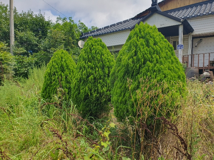 물건 사진 44