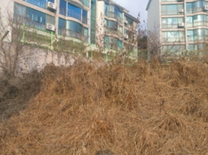 물건 사진 24