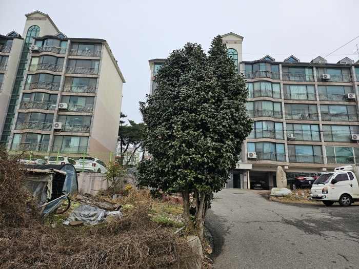 물건 사진 34