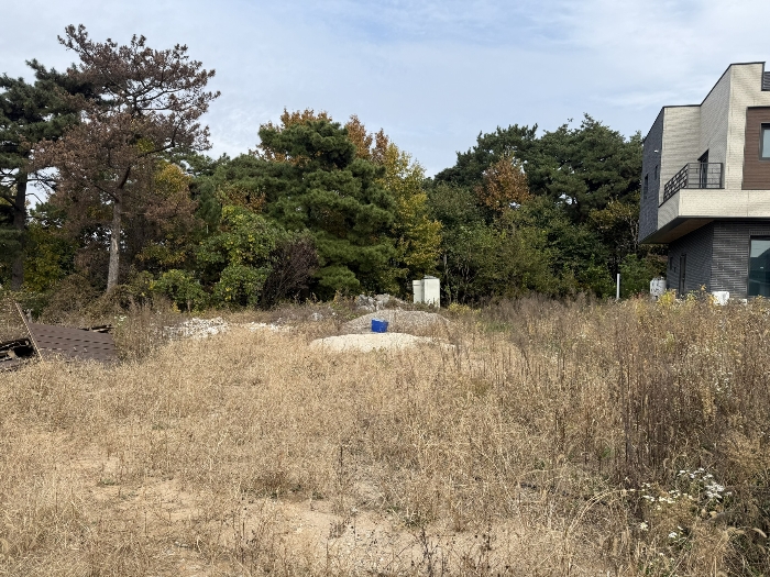 물건 사진 49