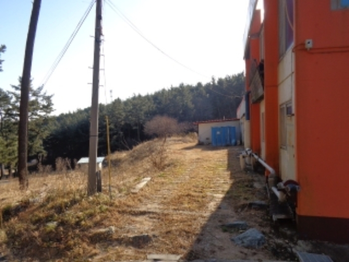 물건 사진 12