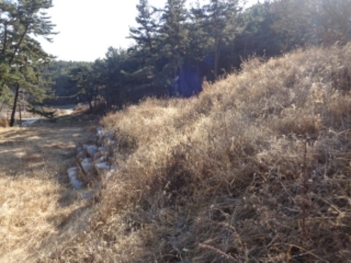 물건 사진 3