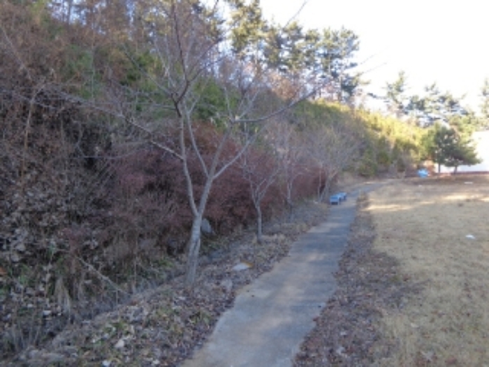 물건 사진 31