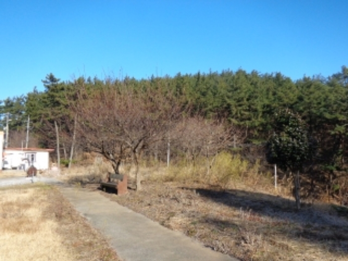 물건 사진 32