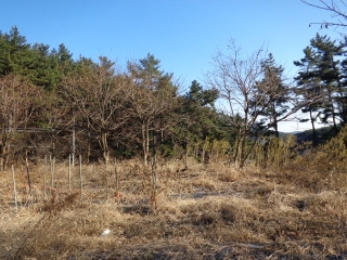 물건 사진 5