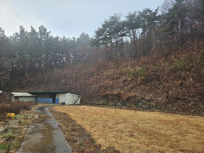 물건 사진 55