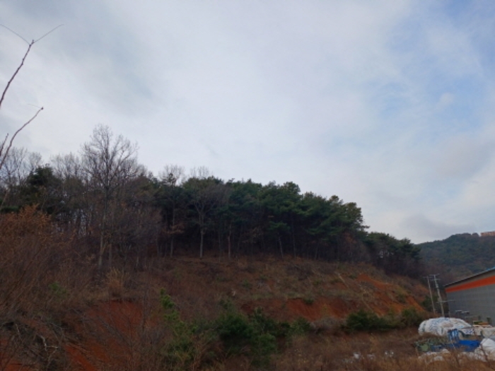 물건 사진 4